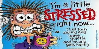 Jane Berkowitz's Ten Best Stress Tips