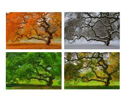 the seasons of life The Seasons of Life images2B2528212529 1