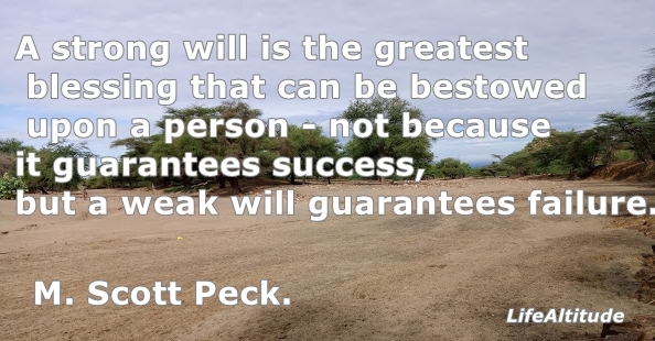 Quotes from M. Scott Peck