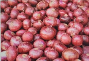 THE MEDICINAL BENEFITS OF ONION